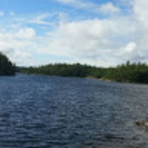 Meet your Posher, Tyson